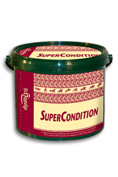 SuperCondition - StHippolyt